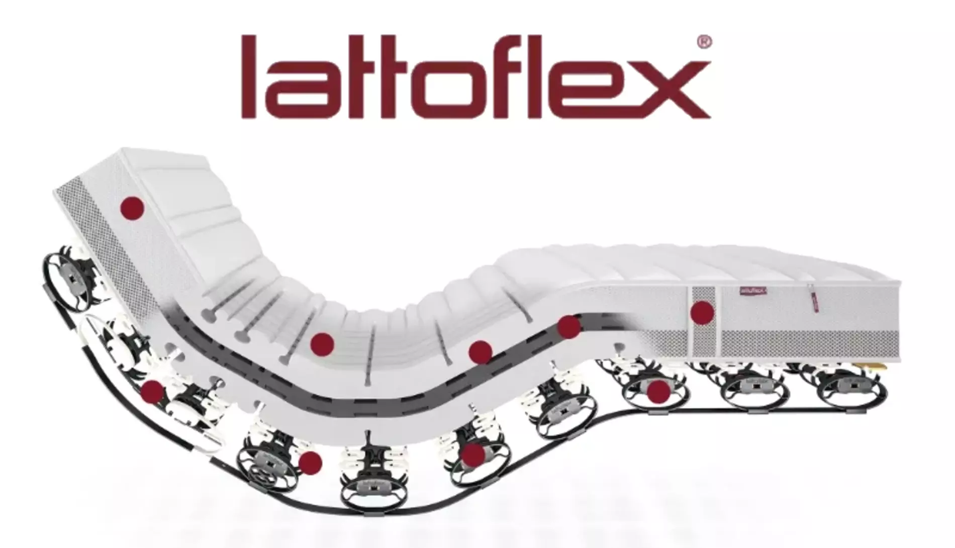 lattoflex5.webp